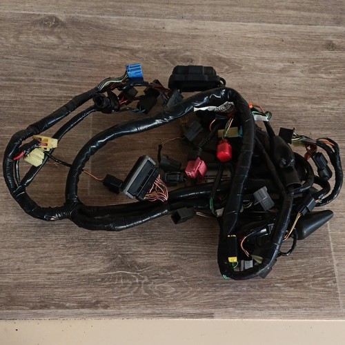 Impianto elettrico cbr 600 - impianto,